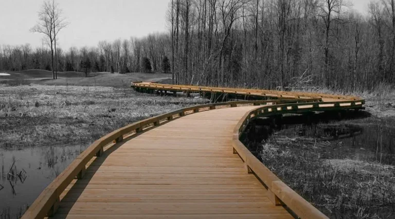 Public pier built on helical piles